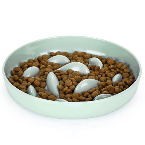 IDOGCHEW Ciotola per gatti con mangiatoia lenta, anti vomito, anti-ingoiamento, antiscivolo, rotonda, verde chiaro