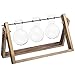 MyGift 3-Glass Planter Bulb Vases with Wood & Metal Swivel Stand