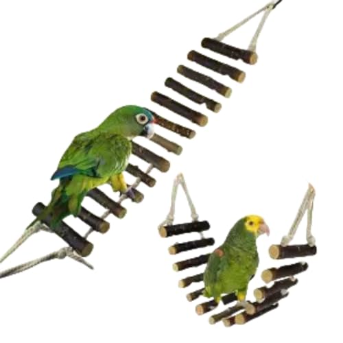 RoastMeCR  ZLZCCR  VR ފߋ ݉^Cvߋ XgX x Vя(8PCS EbhJ[) (ۑ͂)