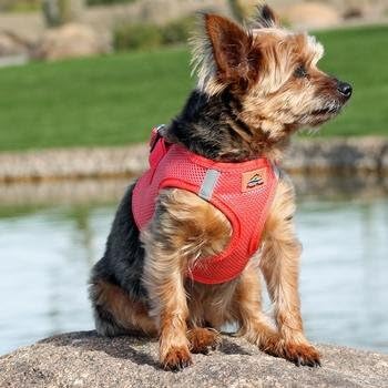 DOGGIE DESIGN American River Choke Free Harness, Coral Small