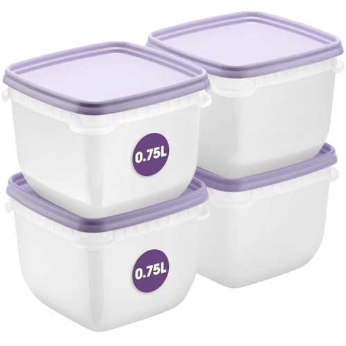 SmartStore Frischhaltedosen mit Deckel und Kühlschrank Organizer 0.75L 4er Set | Geeignet für Kühlschrank und Gefrierschrank | BPA freie meal prep boxen | Gefrierbox Set