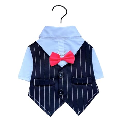 LALEER BIZ ̏tėpybg ^E^pX[cVc EFfBOhX (2XL,^LV[h)