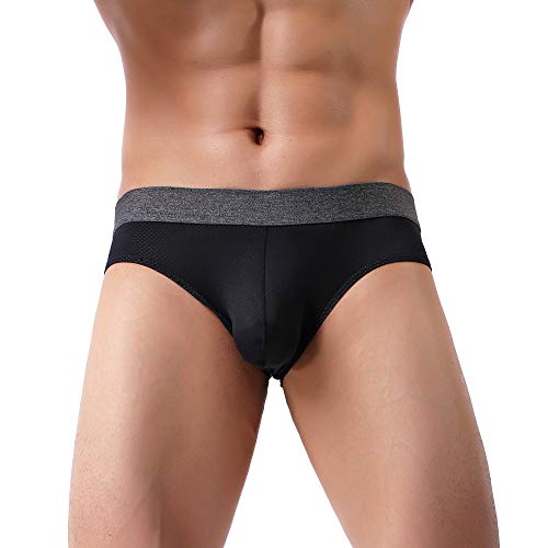 Mens Basic Briefs Lightweight Micro Mesh Comfortable Underwear Pack2