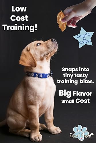 Image of Chicken Jerky Dog Treats for Training - All Natural Chicken Strips for Dogs, High Protein Dog Treats Chicken, Grain Free Dog Snacks, No Fillers, Limited Ingredient Chews Pet Supplies, 4oz