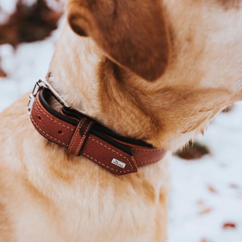 HUNTER Hundehalsband Canadian UP, Farbe: Cognac/schwarz, weiches, geschmeidiges Leder, klassisch, fellschonend, nachhaltig, Made in Germany, Größe: 45
