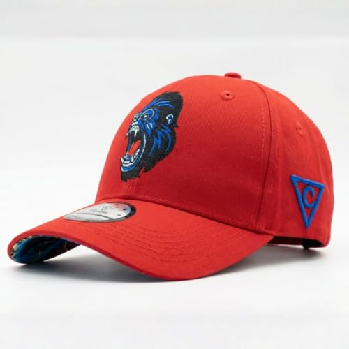 Image of Capiche [99+ Variations] Special Series Snapback Cap - One Size Unisex Men