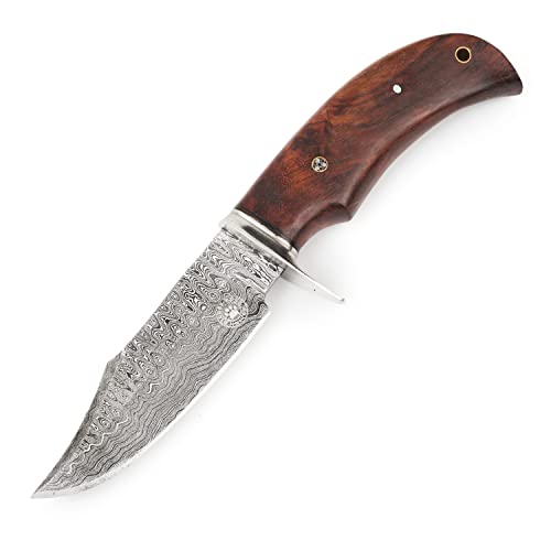 Bigcat Roar Handmade Damascus Hunting Knife - Bushcraft Fixed Blade Hunting Knife With Sheath And Walnut Wood Handle - 10″ Edc Skinning Knife - Bear Hunter #TOP6