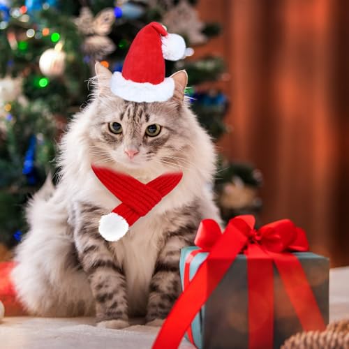 GOYOSWA Roupa de Natal para gatos, chapéu de Papai Noel e cachecol ajustável de malha para cães e ga