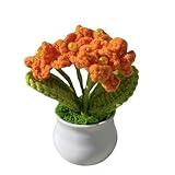 (Tricot de haute qualité) en tricot de haute qualité, les fleurs en pot au crochet fini sont tissées à la main et non tissées à la machine.Il est fabriqué par des mains humaines et des heures de crochet.