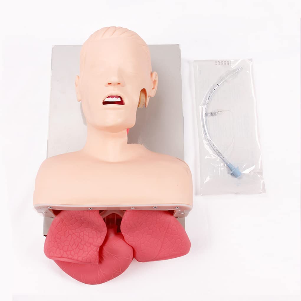 UWYTGF Teaching Model Tools,Adult Electronic Tracheal Intubation Teaching Model Tooth Pressure Alarm Human First Aid Training Model Advanced Human Endotracheal Intubation Training Model F