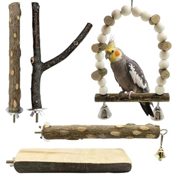 Safest Bird Perches for Cockatiels You Didn't Know You Needed 1 safest bird perches for cockatiels