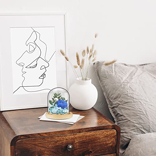 Suclain 4 Pcs Glass Display Dome Cloche Clear Dome Cloche with Wood Base Tabletop Jar Display Case for Home Office Wedding(Wood Color) - Thumbnail 7