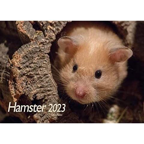 Hamster Kalender Premium Kalender 2023 DIN A4 Wandkalender Tiere Hamster Natur Nager Haustier Cover