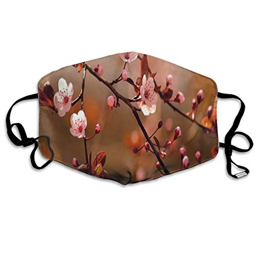 Preisvergleich Produktbild Cover, Kirschblüte Sakura Äste Blühender japanischer blühender Druck, Bedruckte Gesichtsdekorationen für Erwachsene