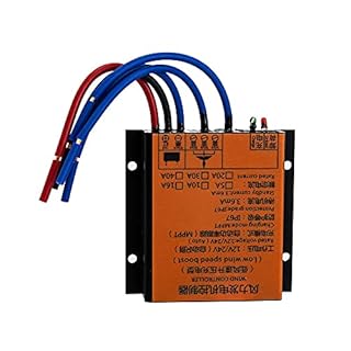 Vertical Home Wind Power Generator 24 V 400 W Wind Turbine with MPPT Controller, Small Wind Power Systems, Maglev Wind Turbine Generator