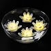 Acmee (Pack of 4) Flameless Wax LED Water Floating Lotus Candle Light for Wedding or Event Decoration./LED Floating Candle Light in Flower Shape (Warm White)