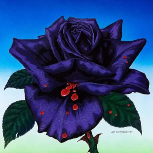 Thin Lizzy &iexcl;Qu&eacute; injusto puede ser el rock'n'roll! Podcast By  cover art