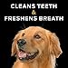 Purina Pro Plan Veterinary Diets Dental Chewz Dog Treats - 5 oz. Box