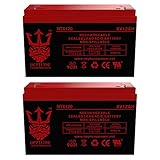 Neptune Brand 6V 12AH Battery Replacement for 10ah Enduring 3FM10 T2, 3-FM-10 T2-2 Pack