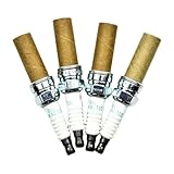 VAEOUTQ 4/6Pcs Dual Iridium Spark Plug – Compatible with Honda Accord Civic CRV HR-V Odyssey Pilot