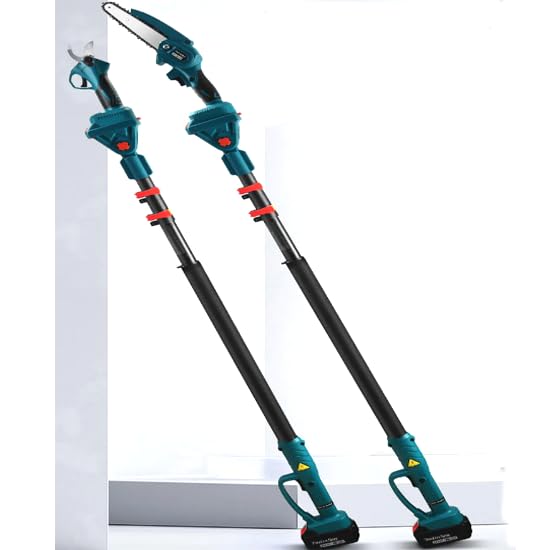 Kit Set per Potatura a Batteria, con Cesoie Forbici e Mini Motosega da 6" Pollici con pompa olio, con Asta Telescopica da 208 cm, Potatura Giardino Rami Arbusti Vigneto - Guanti e Occhialini