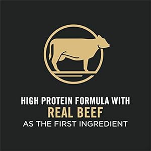 Purina-Pro-Plan-High-Protein-Dog-Food-With-Probiotics-for-Dogs-Shredded-Blend-Beef-Rice-Formula-47-Lb-Bag - Cucciolini Doodles   Purina-Pro-Plan-High-Protein-Dog-Food-With-Probiotics-for-Dogs-Shredded-Blend-Beef-Rice-Formula-47-Lb-Bag