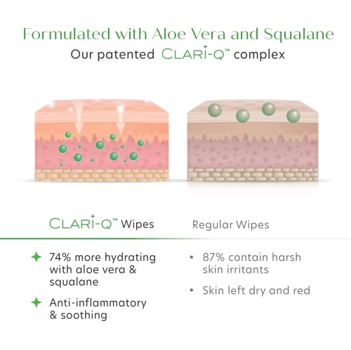 𝗪𝗜𝗡𝗡𝗘𝗥 𝟮𝟬𝟮𝟯* Makeup Wipes - Makeup Remover Face Wipes, Makeup Remover Wipes For Daily Facial Cleansing To Remove Dirt, Make Up Remover Wipes For Face Oil And Make Up, Face Wipes For Women #TOP3