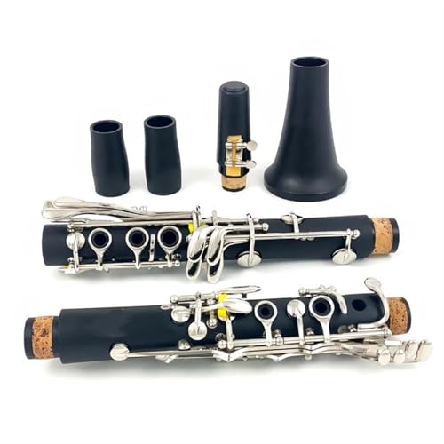 Nlbgy Nlbg dS 17 L[ ؊Ǌy vtFbViy