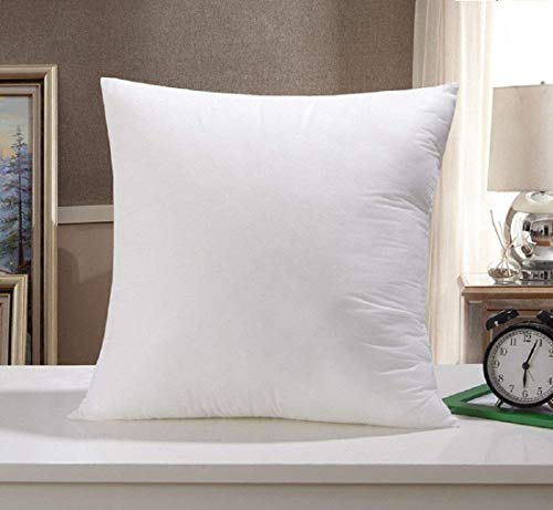 Image of THE HOME STYLE Cotton Vaccum White Cushion Fillers (24 x 24 INCH,1 Piece)