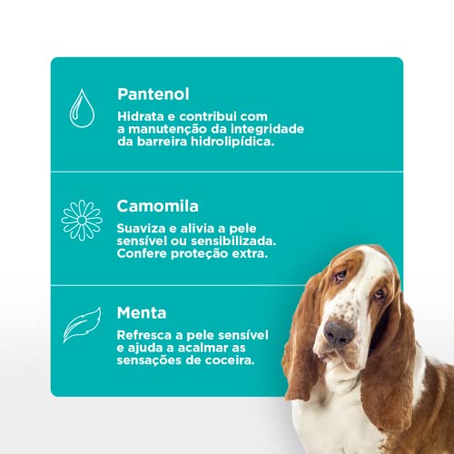 Soft Care Oto Clean Up 100ml