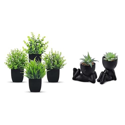 Der Rose Bundle of 4 Packs Fake Plants and Set of 2 Fake Succulent Plants for Office Desk Accessories Black Bathroom Home Room Aesthetic Decor Indoor