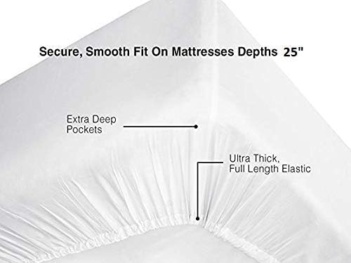 Collections 600 Thread Count 100% Egyptian Cotton Ultra Soft 1 piece Fitted(Bottom Sheet Only) Fits Upto 25" Deep Pocket Premium Quality King Size Light Grey Color