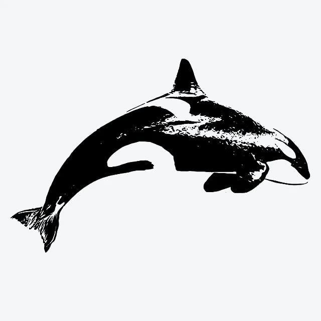 Inkbox Temporary Tattoos, Semi-Permanent Tattoo, One Premium Easy Long Lasting, Water-Resistant Temp Tattoo with For Now Ink - Lasts 1-2 Weeks, Orca Tattoo, Adria, 3 x 3 in