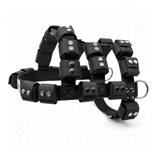 Weighted Dog Harness for Training