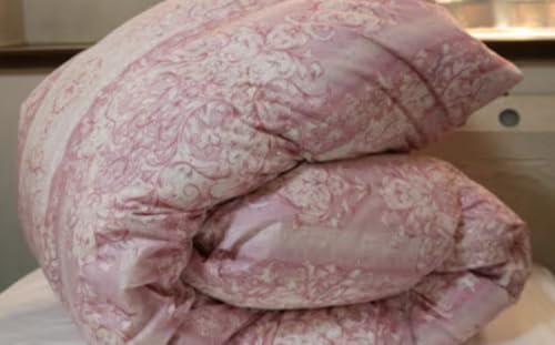 羽毛専門工場直送 国産羽毛ふとん ダックダウン70% 1.0kg 防臭加工 色柄おまかせ 洗える羽毛ふとん 収納ケース付き