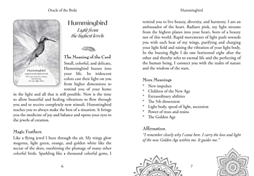 Oracle of the Birds: A 46-Card Deck and Guidebook
