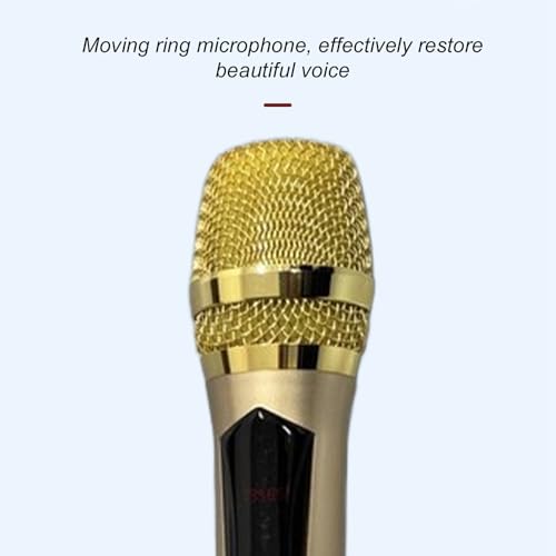 Micro sans fil portable doré Ejoyous ABS LED pour événement extérieur