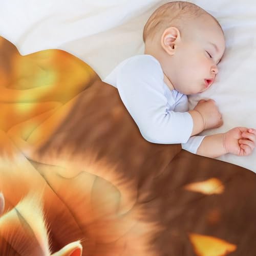 Couvertures de canapé écureuil pour cocooning au salon et nuits douillettes
