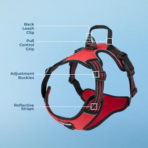 Image of Voyager Dual Attachment No Pull Harness - Red, X-Large | 28 - 37 inch in Chest, No Pull Dog Harness, Fully Adjustable, 3M Reflective Technology, Front & Back D-Rings, Walking & Training