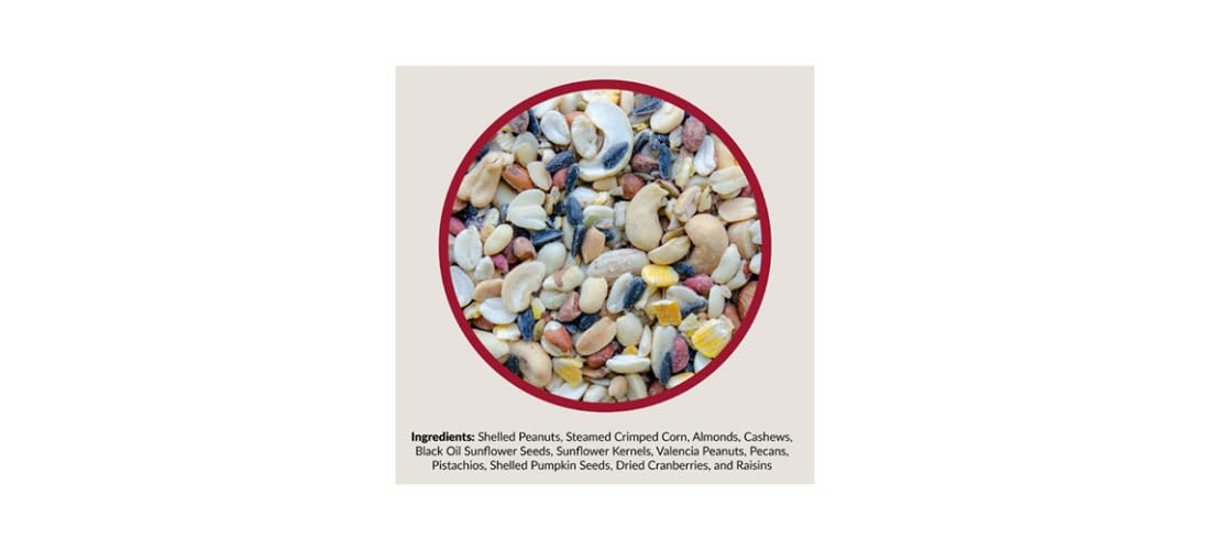 Lyric Fruit & Nut High Energy Wild Bird Mix