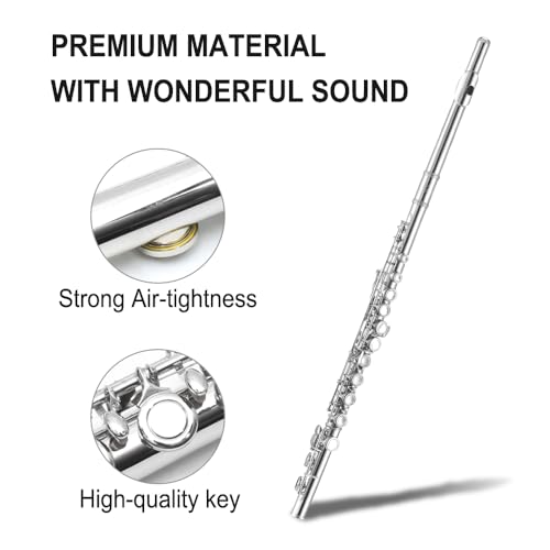 WUQIMUSC Nova flauta de 16 furos C chave com luvas estojo de haste de limpeza furo fechado níquel in