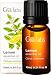 Produktbild Gya Labs Ätherisches Zitronenöl für die Hautpflege - Natürliches Zitronenöl zur Stimmungsaufhellung - 100 therapeutische ätherische Zitronenöle für die Aromatherapie - 10ml