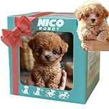 FALLCHILL Nicoo - My Realistic Robot Puppy, Robotic Dogs for Adults Realistic, Robot Dog That Acts Like A Real Dog, Interactive Plush Dog for Adults, Walking, Barking, Tail Wagging (Brown)
