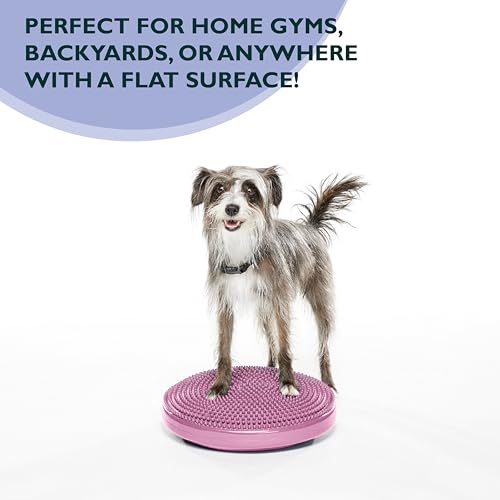 Fitpaws Balance-Disc für Hunde, 14', Violett