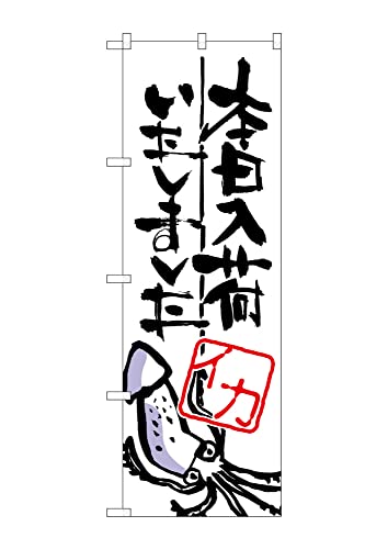 ̂ڂ艮H[ ̂ڂ SNB-983 {ׂ܂ CJ W600×H1800mm 1  OO ɐ 󒍐Yi