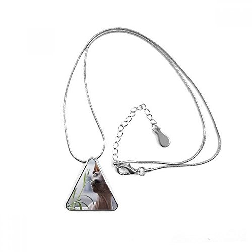 Pendentif chat triangle mince et léger avec motif photographie grise