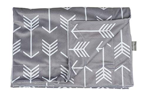 Image of Adorology Minky Nursery Blanket, Gray White Arrows Design, Great for Any Mom to Be, Toddler Blanket