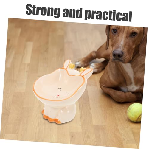 Bol surélevé en céramique pour chien et chat avec base stable