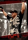 2010 Topps UFC #108 Joe Lauzon
