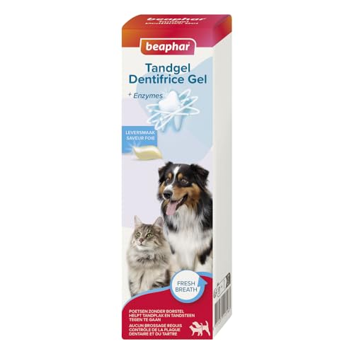 BEAPHAR – Gel dentifrice pour chien et chat – Nettoyage des dents sans brossage ni rinçage – Combat la plaque dentaire, la formation de tartre et la mauvaise...